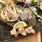 User's review image for トロ政 新宿店