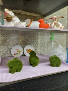 用户对于ホルモン焼肉 妙的评论高清图