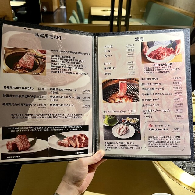 User's recommendation image for セパラン