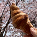 用户对于アンジュ的评论图