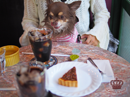 User's review image for Calva