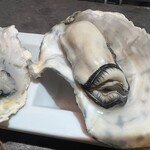 User's review image for ヤングオイスター