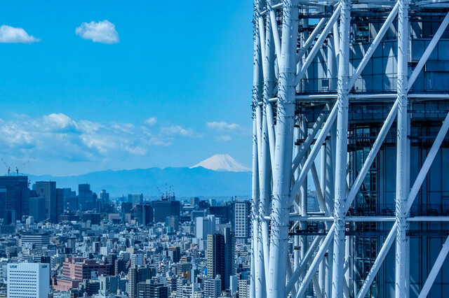 User's recommendation image for ラ・ソラシド フードリレーションレストラン