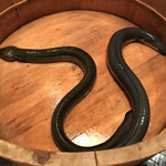 User's review image for にょろ助 赤坂