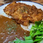 用户对于ロケットカレー 東室蘭店的评论图