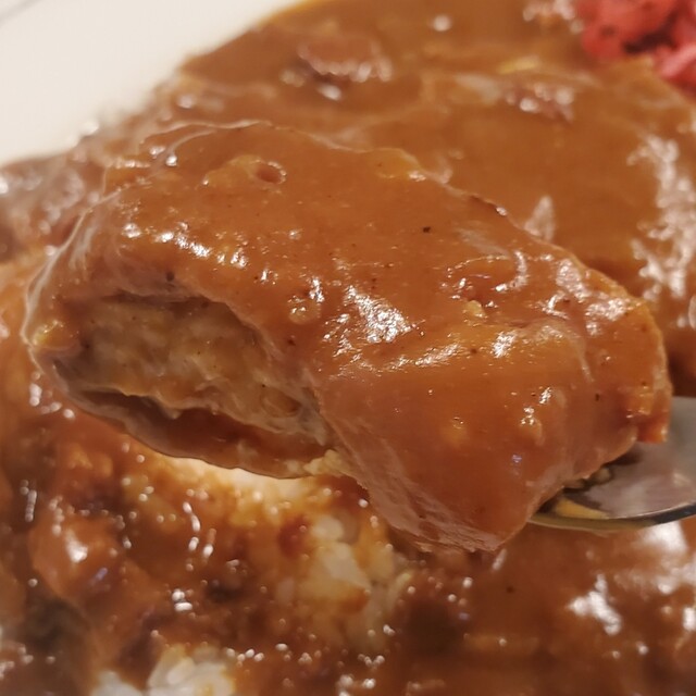 用户对于カレー専門店 印度 北2条店的评论高清图
