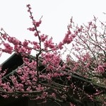 用戶對於東急ハーヴェストクラブ京都鷹峰的評論圖