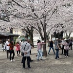 User's review image for 靖國八千代食堂