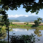 用户对于シットココ的评论图