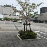 User's review image for プティ・メルヴィーユ 函館駅前店