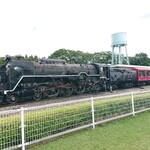 用户对于京都鉄道博物館 食堂車的评论图