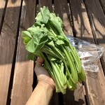 User's review image for JF糸島 志摩の四季