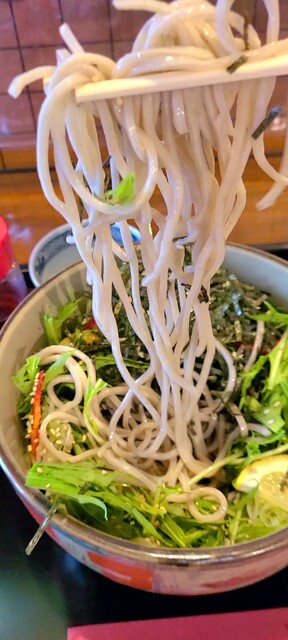 用户对于帯広 そば処 カブト的评论高清图