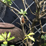 User's review image for 雑魚や紀洋丸