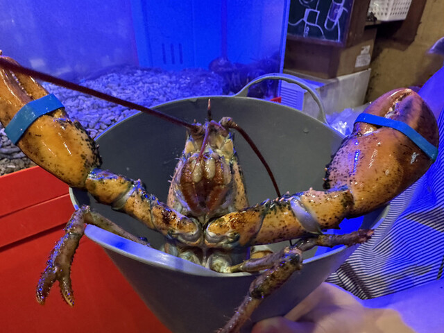 User's recommendation image for 活海老バル orb 福島