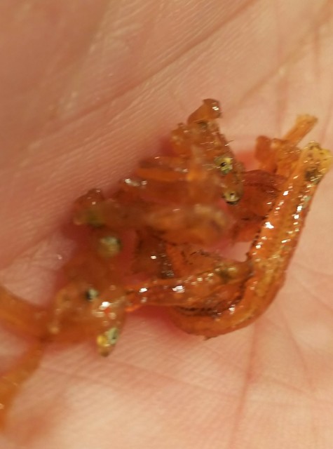 用戶對於野村佃煮 錦店的評論高清圖