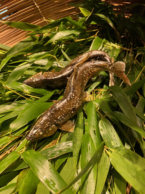 用戶對於燈々庵的評論圖