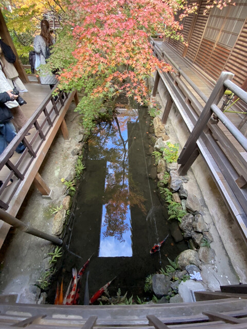 User's recommendation image for みかえり茶屋