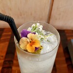 用戶對於Tokyo Kenkyo的評論圖