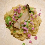 用戶對於Metis 六本木的評論圖