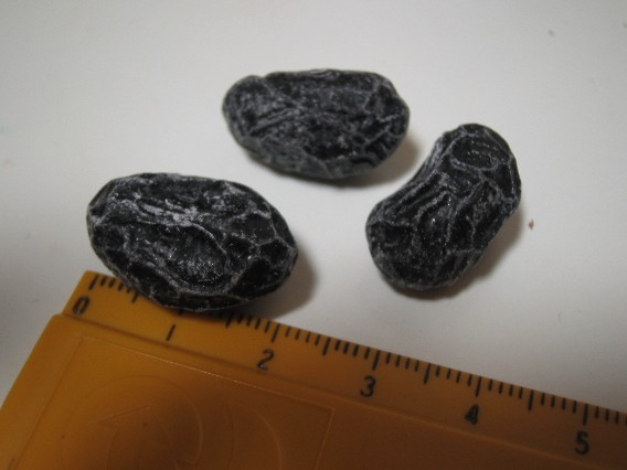 用戶對於すぎのや的評論圖