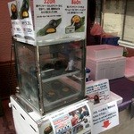 用户对于まる一 浜田商店的评论图