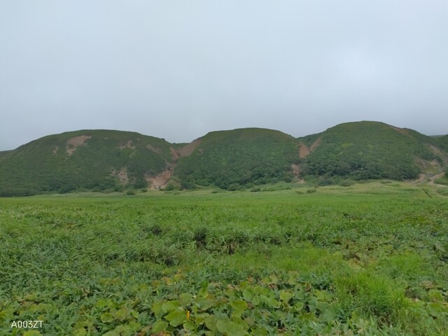 用戶對於みなとや的評論高清圖