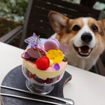 User's review image for TRIANGLE CAFE