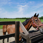 User's review image for Yogibo Versailles Resort Farm CAFE