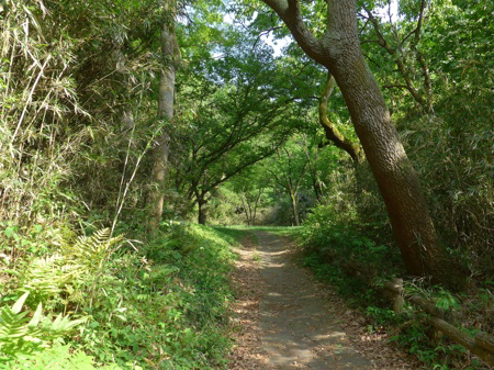 用户对于鎌田鳥山的评论图