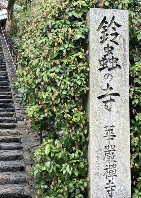 用户对于カフェドレザミ的评论高清图