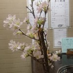 用户对于しらかわ的评论图