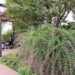 用户对于吉兆 伊勢丹新宿店的评论图