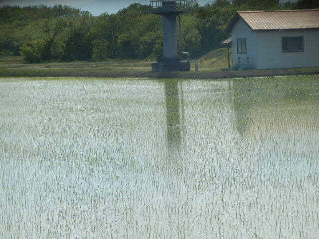 User's review image for 江別河川防災ステーション売店