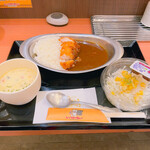 用户对于レッツゴーカレー アリオ札幌店的评论图