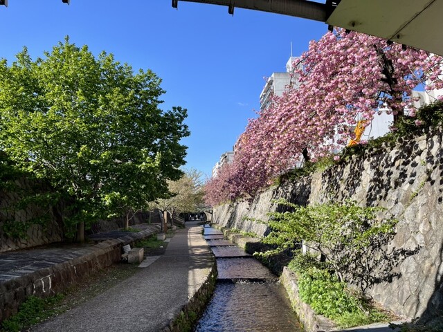 User's recommendation image for ヒルランタン