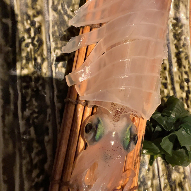 User's review image for たら福 大名店