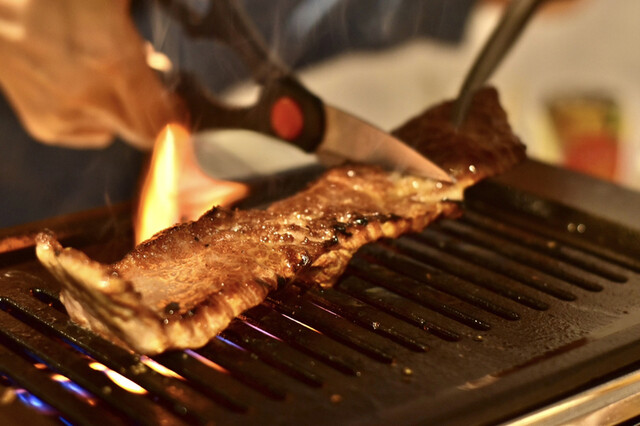 User's recommendation image for 大正焼肉ホルモン K2+