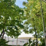 用戶對於TREE by NAKED meiji park的評論圖