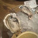 用戶對於オストレア oysterbar&restaurant 新宿三丁目店的評論圖