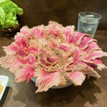 User's review image for がぶ