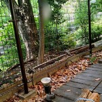 用戶對於両国テラスカフェ的評論圖