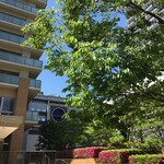 用户对于おにぎり 櫻の音的评论图