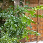 用戶對於梅の花 立川店的評論圖