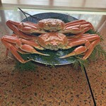 用户对于海月楼的评论图