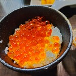 用户对于沙羅の月的评论图
