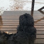 User's review image for Yogibo Versailles Resort Farm CAFE