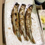 用户对于サロマ湖とばろう村的评论图