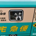 用户对于そばどころ富士的评论图