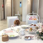 用户对于湘南鎌倉クリスタルホテル的评论图
